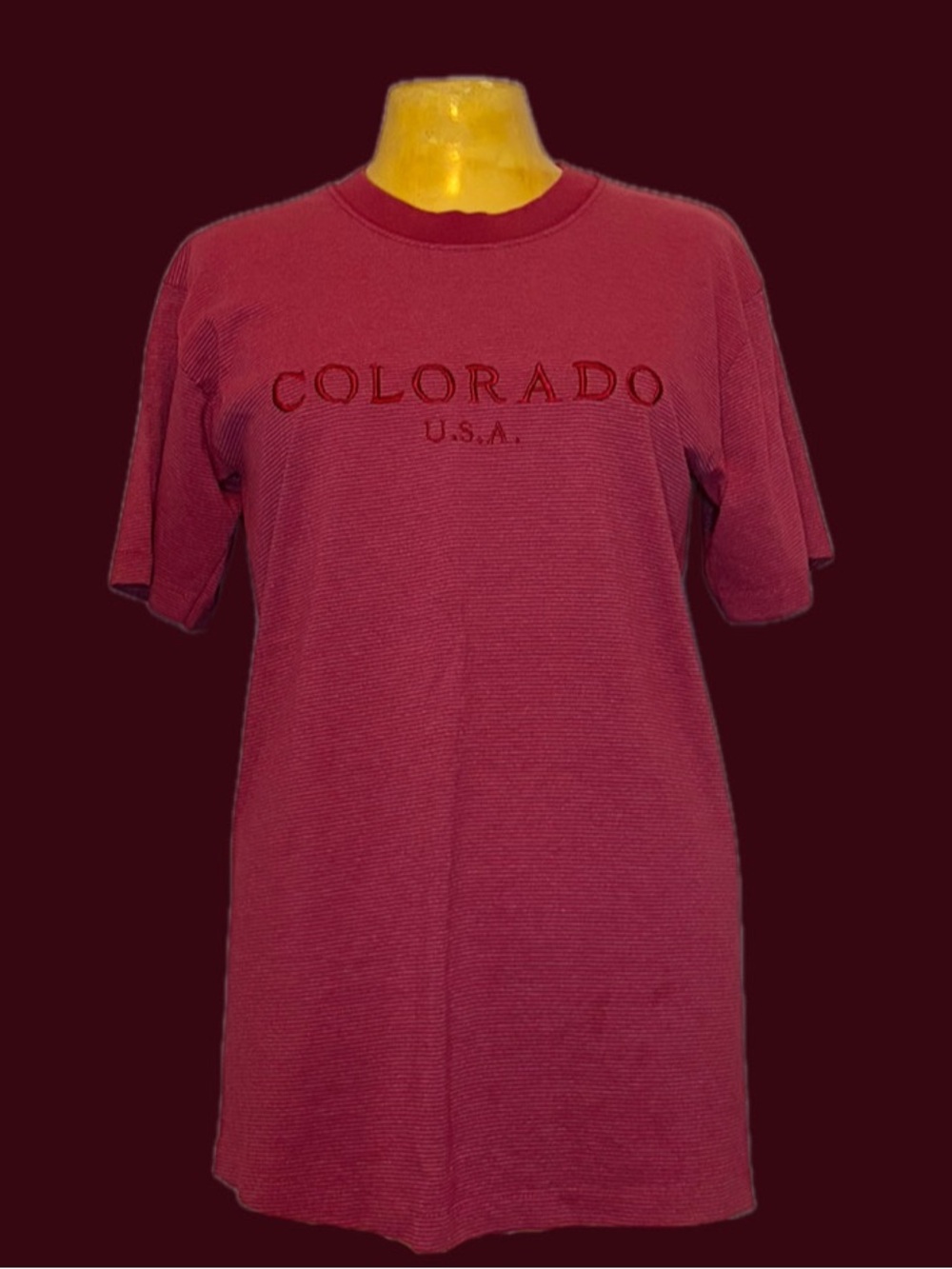 🖍️Vintage 80s Colorado USA Striped Tee🖍️